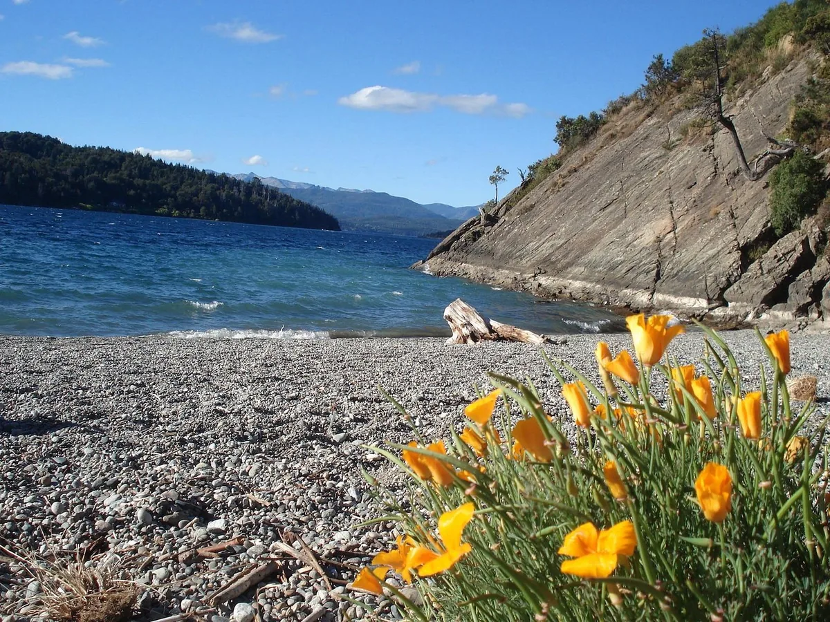 Cabins in Bariloche in summer: lake, beaches and Circuito Chico